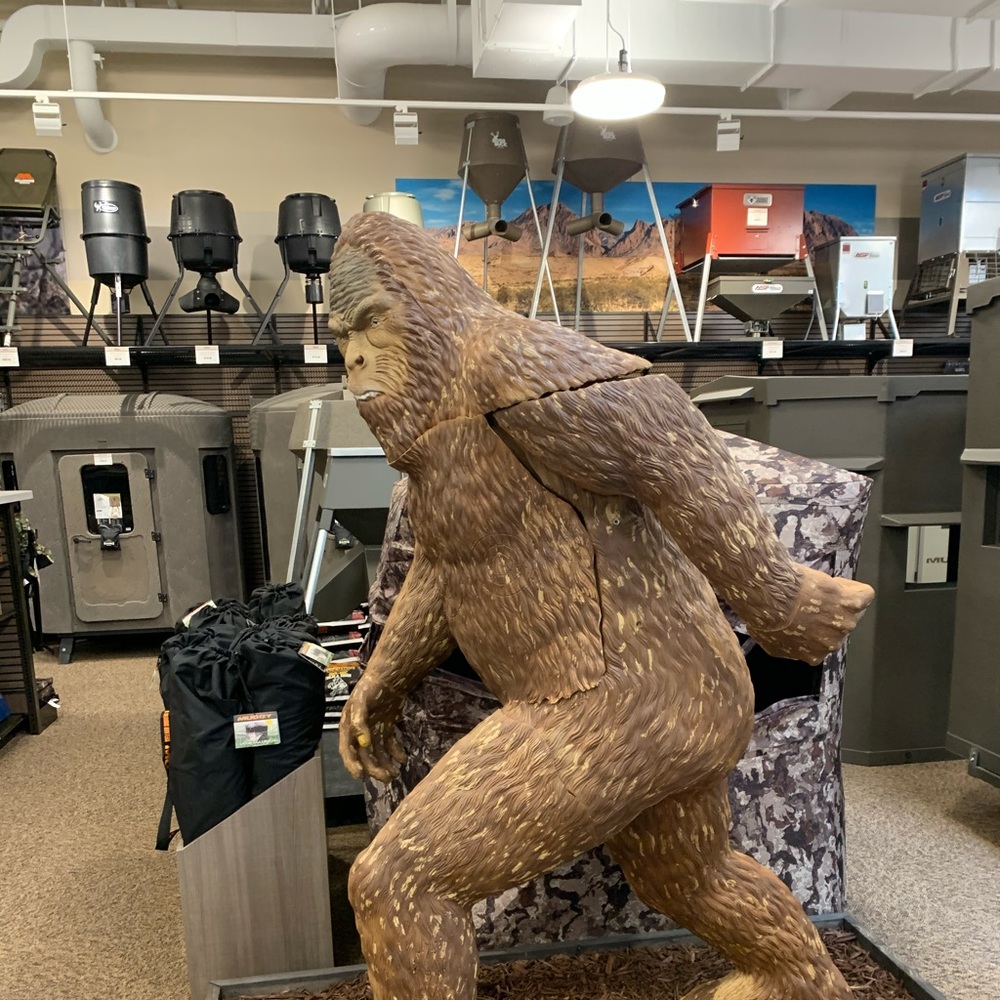 Meet your Posher, Clint